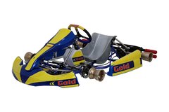 chasis karting completo gold DD2 Rotax Righetti ridolfi - comprar online