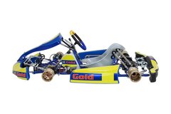 chasis karting completo gold KZ / Cajero Righetti ridolfi - GC RACING