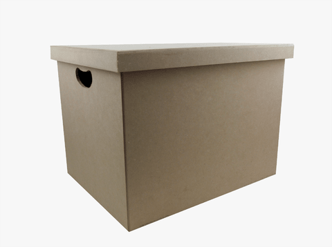 Caja zapato con tapa 20 X 30 X 50