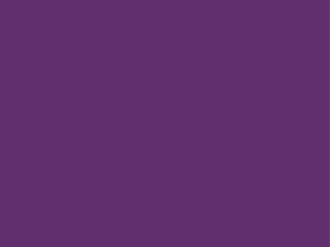 Pintura violeta imperial X 200