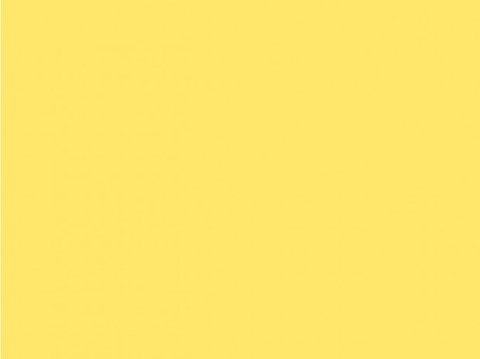 Acrilico eq amarillo de napoles 50 cc