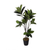 Planta Artificial Gomero 108 cm