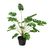 Planta Artificial 55 cm