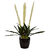 Planta Artificial 75 cm