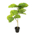 Planta Artificial Ficus 70 cm