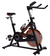 Spinning Evo Titaniun - comprar online