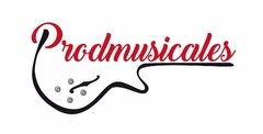 Funda Acolchada Ukelele Tenor Impermeable Prodmusicales - comprar online