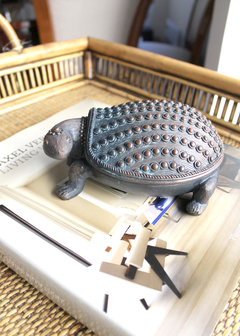Caja con forma de tortuga en resina! - comprar online