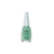 Esmalte Colorama Nutribase 8ml