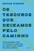 TESOUROS QUE DEIXAMOS PELO CAMINHO, OS - PAIDOS - comprar online