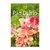 PAO DIARIO VOL 28 - FLORES - RBC PAO DIARIO - comprar online