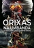 ORIXAS NA UMBANDA ( NOVA EDICAO) - comprar online