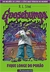 GOOSEBUMPS - FIQUE LONGE DO PORAO - comprar online