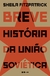 BREVE HISTORIA DA UNIAO SOVIETICA - TODAVIA