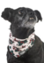 BANDANA HUND NOEL - Duende Tienda de Mascotas