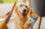 DENTASTIX GRANDES +DE 25 KG* 7 UNID. - comprar online