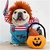 DISFRAZ HALLOWEEN CHUCKY TS