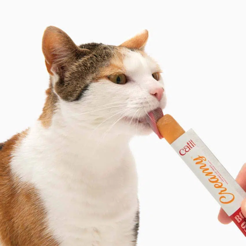 Catit 2025 creamy treats