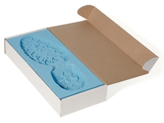 KIT DE IMPRESION BIO-FOAM® x24 uni. - SIRCHIE ®